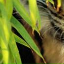 Тарас Бабич фотография #40 (источник - https://vk.com/id143540274)