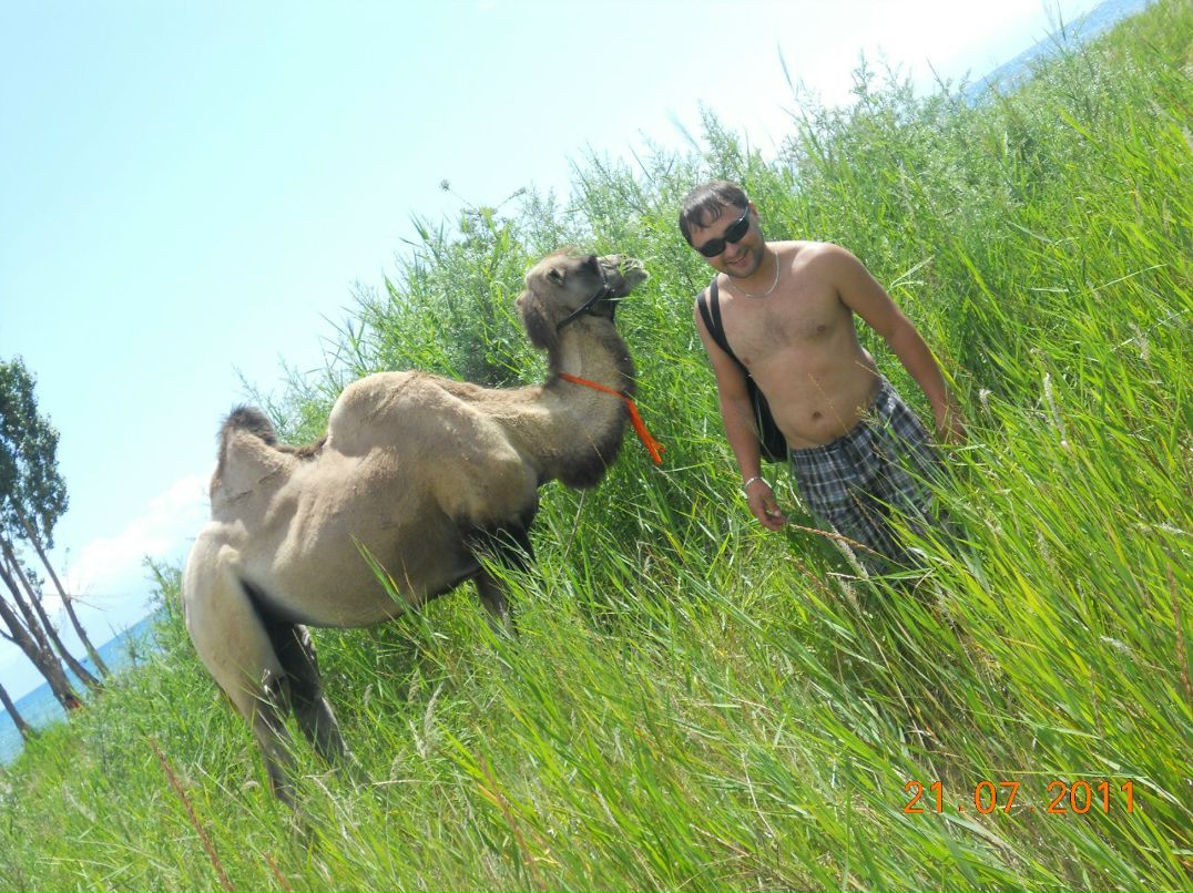 Дмитрий Гемель фотография #42