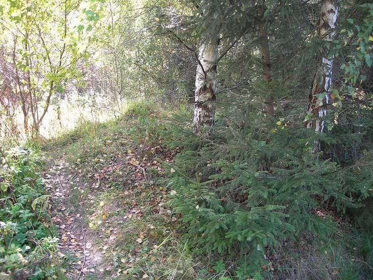 Сергей Дробышев фотография #18