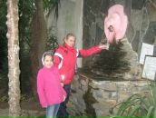 Фотография Литоминой Юлии