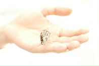 Анна Шевчук фотография #21 (источник - https://vk.com/id1542252)