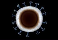 Антон Филь фотография #7 (источник - https://vk.com/id1657549)