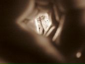 Фотография Савина Васько