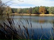 Фотография Шеремета Эрнеста