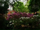 Alexey Dushen фотография #34 (источник - https://vk.com/id670180)