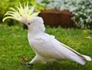 Фотография Илья Кучеров