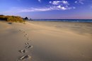 Фотография Прошиной Екатерины