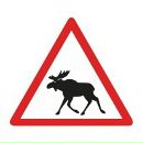 Фотография Тихомиров Дмитрий