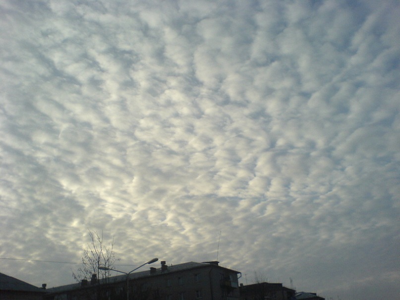 Егор Орлов фотография #32