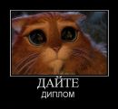 Фотография Нишку Михаила