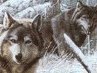 Андрій Колодницький фотография #24 (источник - https://vk.com/id133870733)