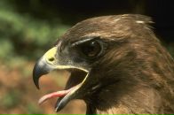 Фотография Яковлева Руслана