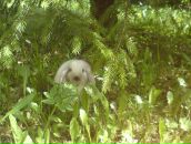 Фотография Кочегарова Юрия