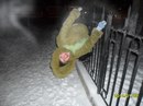 Ліза Білоус фотография #9 (источник - https://vk.com/id141352677)