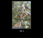 Миша Лысенко фотография #50 (источник - https://vk.com/id12325771)