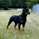 Міша Гоїк фотография #43 (источник - https://vk.com/id141060461)