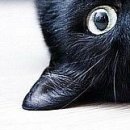 Dетk☼ ツ фотография #3 (источник - https://vk.com/id152994176)