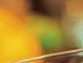 Віталій Михальчишин фотография #10 (источник - https://vk.com/id34523231)