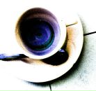 Фотография Шакин Игорь