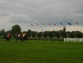 Ігор Білінський фотография #16 (источник - https://vk.com/id18399311)