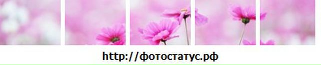 Вікторія Калінченко фотография #6 (источник - https://vk.com/id43190184)