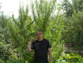 Антон Дементьев фотография #26 (источник - https://vk.com/id4042008)