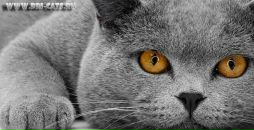 Фотография Глушковой Юлии