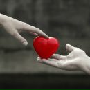 Фотография Тарасовой Юлии