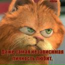 Фотография Михалыча Alex