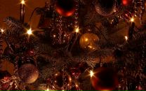 Фотография Щанниковой Катерины