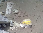 Иван Степанюк фотография #45 (источник - https://vk.com/id1698758)