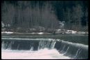 Альонка Телендій фотография #1
