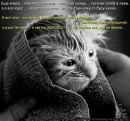 Фотография Марининой Марины