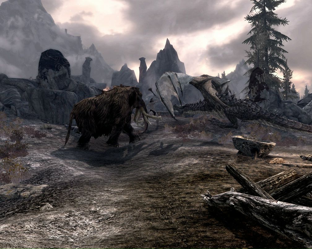 Николай Терещук фотография #40