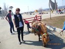 Фотография Тарасова Сергея