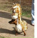 Фотография Паламарчука Евгения