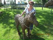 Фотография Nevalainen Elena