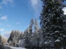 Марія Мельник фотография #13 (источник - https://vk.com/id135547975)