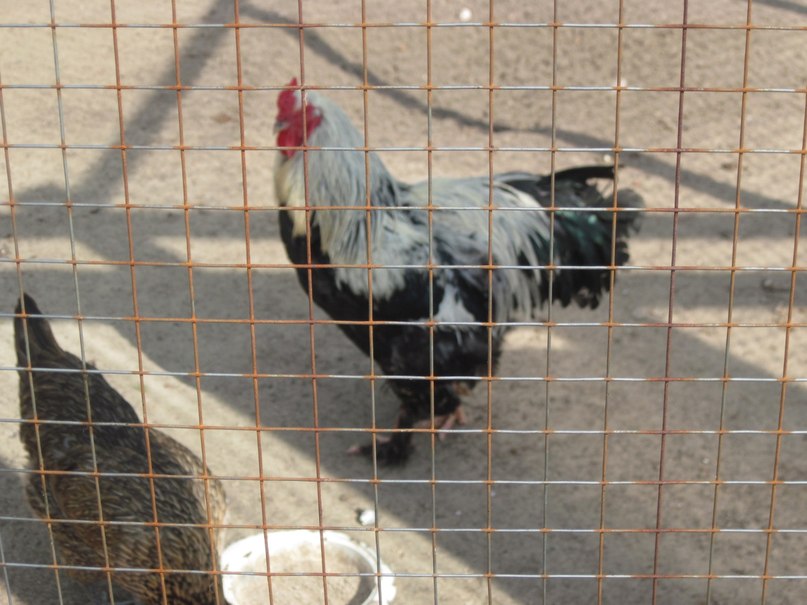 Наталья Гринёва фотография #15