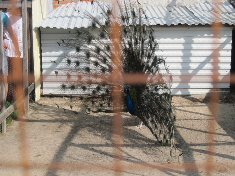 Наталья Гринёва фотография #42