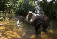 Даша Дашина фотография #21 (источник - https://vk.com/id2891457)