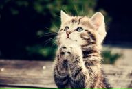 Игорь Ирхин фотография #39 (источник - https://vk.com/id13856481)