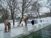 Діма Мельник фотография #16 (источник - https://vk.com/id14924376)