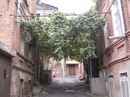 Маха Швили фотография #27 (источник - https://vk.com/id2097)