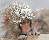 Фотография Шараховой Натальи