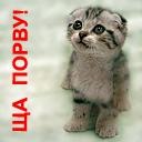 Фотография Красильникова Павла