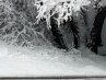 Дімон Солодкий фотография #45 (источник - https://vk.com/id114001852)
