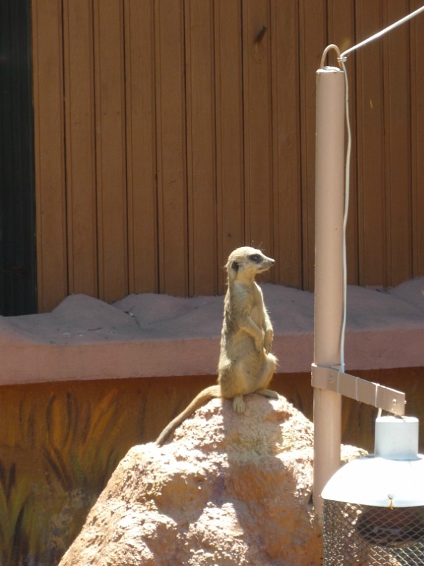 Катерина Латнер фотография #25