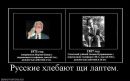 Фотография Никифорова Алексея