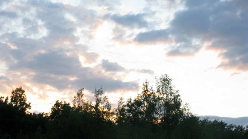 Катерина Старченко фотография #40